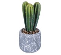 Villa d'Este Home Tivoli Plantule Artificielle Cactus, Pot en béton, Ø 13 x 29,5 cm