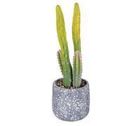 Villa d'Este Home Tivoli Plantule Artificielle Cactus, Pot en béton, Ø13 x 40,5 cm