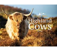 Villager Jim's Highland Cows