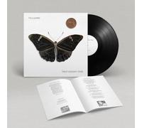 Villagers – That Golden Time – Vinyle LP (2024)
