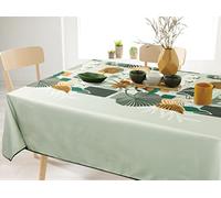 Villages de Provence - Nappe Antitache rectangulaire - Nappe Printemps Infroissable et 100% Polyester - 240x150cm - Douceur - 6/8 Couverts