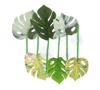 VILLCASE 6 Pièces Betta Fish Leaf Bed Set Réaliste Lit pour Repos et Reproduction de Décoration Aquarium Adaptable et Facile à Nettoyer Habitat Naturel Artificiel pour Poissons Betta