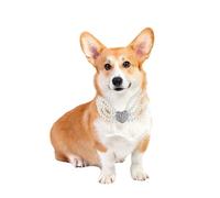 VILLCASE Collier pour Chien Quatre Rangées de Perles Nacrées Blanches et Pendentif de Cœur en Cristal, Bijou de Mode pour Animaux de Compagnie Lors de Mariages