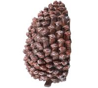 VILLCASE Fausse Pomme de Pin Cache-Clés de Jardin - Rangement de Clé Secret Aspect Naturel Ultra Réaliste - Décoration Extérieure Résistante aux Intempéries et Idée Cadeau