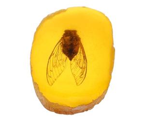 VILLCASE Pendentif en Ambre Cigale, Spécimen Décoratif Artisanal | Jaune, pour Collection et Exposition, Usage DIY Décoratif, Aspect Vif et Réaliste, Pièce Unique