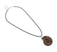 VILLCASE Pendentif En Pierre En Spirale Charmes D'ammonite Pour Collier Charmes De Coquillage De Conque Spécimen D'ammonite Naturel Fossile De Conque Naturel