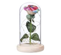 VILLCASE Rose Éternelle sous Cloche en Verre, Décoration Romantique en Bois | Présent de Saint Valentin, Display sans Entretien, pour Étagère et Bureau, Style Exquis