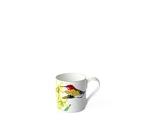 Villeroy & Boch 10-3514-1420 Amazonia Tasse à Moka/Expresso Porcelaine Vert 29,3 x 16,5 x 8,1 cm