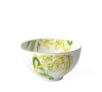 Villeroy & Boch 10-3514-1906 Amazonia Bol Porcelaine Vert 29,5 x 18 x 16,5 cm