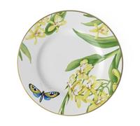 Villeroy & Boch 10-4381-2650 Amazonia Anmut Assiette à Dessert Porcelaine Vert 22,5 x 22,6 x 7,6 cm