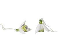 Villeroy & Boch Mini Flower Bells Set de perce-neige 2pcs.