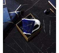 Villeroy & Boch NewWave Stars Gobelet avec anse Capricorne 300ml
