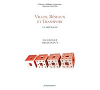 Villes, réseaux et transport : Le défi fractal