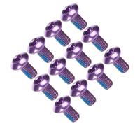 VILLFUL 1 Boîte Vis de Plaquette de Frein Vélo M5 X 10mm en Acier Titane