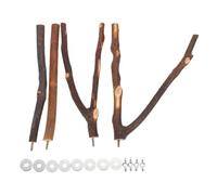VILLFUL 4pcs Pôle D'oiseau Perche Perche Perche Perche Permanente Standing Stick Branche