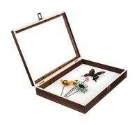 VILLFUL Boîte de Présentation Specimen Holder Bois de Paulownia avec Couvercle Transparent Anti-poussière Vitrine Entomologiste Vintage pour Observation Insectes et Rangement Bijoux