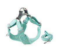 VILLFUL Laisse pour Chien Harnais Pratique pour Chiot De Laisses pour Animaux Accessoire pour Chiot Domestique Longue Laisse De Dressage