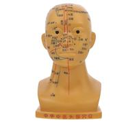 VILLFUL Modèle de Massage Tête Humaine Modèle Acupuncture pour Éducation Médicale pour Étude Anatomique