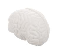 VILLFUL Modèle D'Enseignement De L'Anatomie Du Cerveau Outils D'Étude De L'Anatomie Des Parties Du Corps Modèle D'Anatomie Du Cerveau Modèle De Science Du Cerveau En