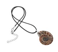 VILLFUL Pendentif en pierre en spirale bijoux d'escargot bijoux renaissance pendentif spécimen de conque Charmes conque pour le collier spécimen de conque naturel Fossile de conque naturel