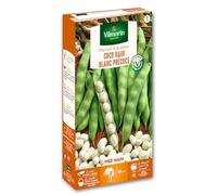 Vilmorin 1150451 Pack de Graines Haricot Coco Nain Blanc Précoce