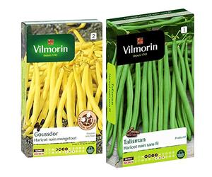 Vilmorin 1172353 Pack de Graines Haricot Goussdor Création & Haricot Talisman Boite 140g, Vert
