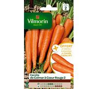 Vilmorin 3175742 Pack de Graines Carotte de Colmar à Cœur Rouge 2 + Echantillon Carotte Eskimo