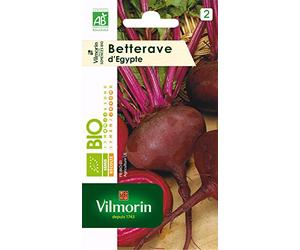 Vilmorin 3182670105289 3151342 Betterave Noire d Egypte Bio, Rouge, 9 x 0.5 x 16 cm