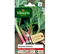 Vilmorin 3182670119859 3910242 Rhubarbe Victoria, Vert/Rouge, 90 x 2 x 140 cm