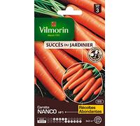 Vilmorin 3188143 Pack de Graines Carotte Nanco HF1 Création