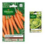 Vilmorin 3193142 Pack de Graines Carotte Nantaise Améliorée 3 Race Tam + Vilmorin 3600142 Pack de Graines Laitue Pommée Appia