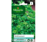 Vilmorin 3211500006790 3790141 Persil Commun 2 Officinal, Vert, 9 x 0.5 x 16 cm