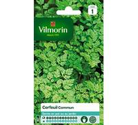 Vilmorin 3235044 Cerfeuil commun, Vert, 90 x 2 x 140 cm