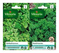 Vilmorin 3235044 Cerfeuil commun, Vert, 90 x 2 x 140 cm & 3182670127915 3801542 Persil Frise Alto Creation, Vert, 90 x 2 x 140 cm