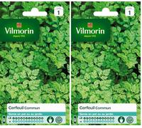 Vilmorin 3235044 Cerfeuil commun, Vert, 90 x 2 x 140 cm (Lot de 2)