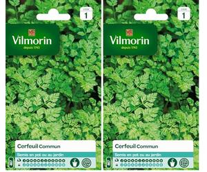 Vilmorin 3235044 Cerfeuil commun, Vert, 90 x 2 x 140 cm (Lot de 2)