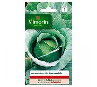 VILMORIN Chou cabus de Brunswick