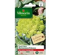 Vilmorin 3367142 Pack de Graines Chou Brocoli Romanesco Précoce