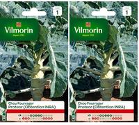 Vilmorin 3378541 Chou fourrager, Vert, 90 x 2 x 140 cm (Lot de 2)