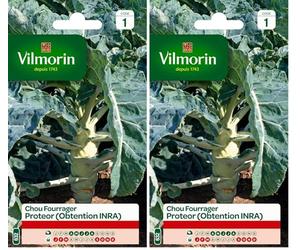 Vilmorin 3378541 Chou fourrager, Vert, 90 x 2 x 140 cm (Lot de 2)