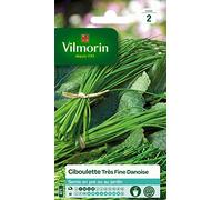 Vilmorin Pack de graines Ciboulette Très Fine Danoise
