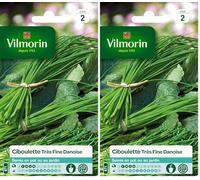 Vilmorin 3410445 Pack de Graines Ciboulette Très Fine Danoise (Lot de 2)