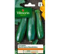 VILMORIN Courgette verte noire maraichère