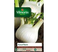 Vilmorin-3582342-FENOUIL TAURO HF1 VL 2