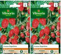 Vilmorin 3585042 Pack de Graines Fraisier 4 Saisons Suprême (Lot de 2)