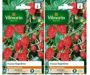 Vilmorin 3585042 Pack de Graines Fraisier 4 Saisons Suprême (Lot de 2)