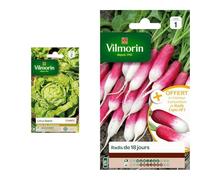 Vilmorin 3600142 Pack de Graines Laitue Pommée Appia & 3882041 Radis, Rouge, 90 x 2 x 160 cm