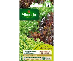 Vilmorin 3609242 Pack de Graines Laitue à Couper en Mélange Bol Vert/Rouge