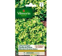 VILMORIN-Graines de laitue feuille de chêne blonde Vilmorin - graines à semer