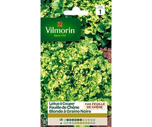 Vilmorin 3609341 Laitue Vert 9 x 0,5 x 16 cm